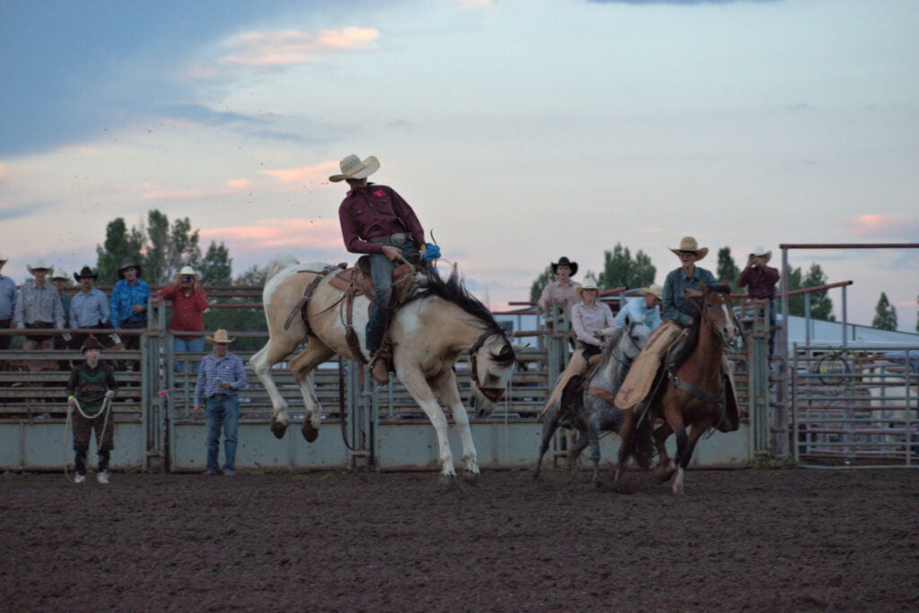 willaims-night-rodero-arizona3