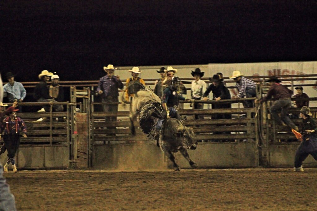 willaims-night-rodero-arizona4